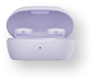 Изображение Bose QuietComfort Earbuds