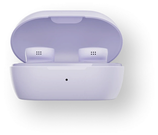 Наушники Bose QuietComfort Earbuds (лиловый)