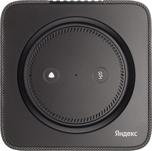 Умная колонка Яндекс Станция Макс с Zigbee (черный)