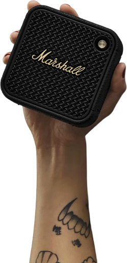 Акустика Marshall Willen II (черный)