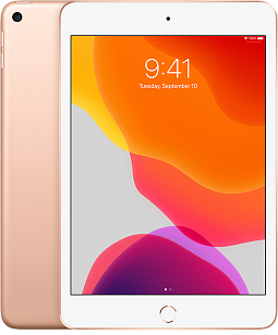 Изображение Apple iPad mini 5 (2019) Б/У