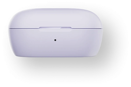 Наушники Bose QuietComfort Earbuds (лиловый)