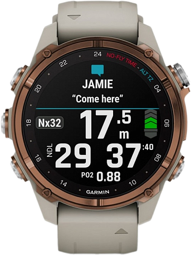 Умные часы Garmin ️DESCENT MK3i 43mm (бронзовый/серый)