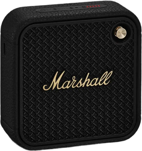 Акустика Marshall Willen II (черный)